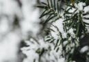 Temperature giù di 10 gradi, colpo di coda dell’inverno sull’Italia