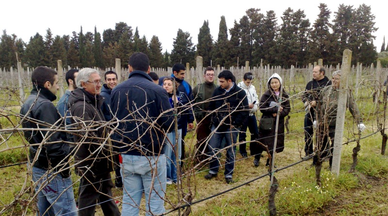 “Le parole del vino”, a Oristano si impara a comunicare l’enologia e il territorio - foto Consorzio UNO
