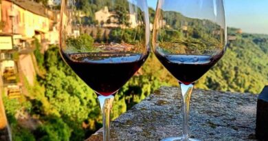 Vino: 11- 13 settembre a Nemi torna ‘Borgo diVino in tour’