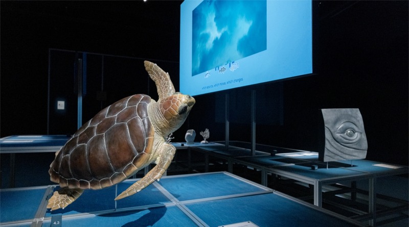 Alla scoperta dell’oceano: l’Ocean&Climate Village fa tappa a Cagliari
