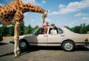Martin Parr, l’ironia di guardare il mondo