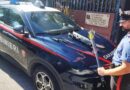 Roma, si barrica in casa e minaccia carabinieri con arco e frecce: denunciato